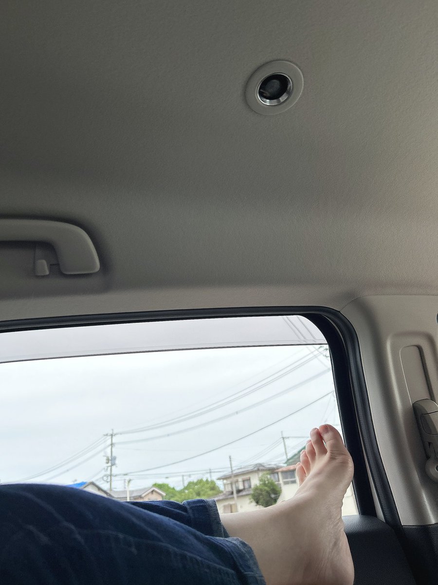 mararonnu24's tweet photo. 遠くに買い物行くよ
姉の運転です₍ᐢ ɞ̴̶̷.̮ɞ̴̶̷ ᐢ₎​🦜 https://t.co/n4va8kME8J