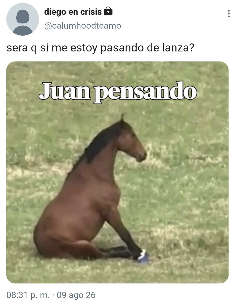 dixiisdrowning's tweet photo. 289. Juan pensando https://t.co/nVAOWhgX5z