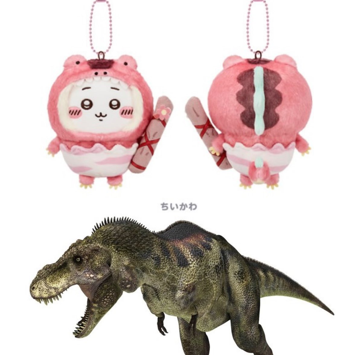 roto_archive's tweet photo. ちいぽけ 恐竜マスコットの元ネタです🦖

ちいかわ → ティラノサウルス
ハチワレ → ステゴサウルス
うさぎ → フタバスズキリュウ
モモンガ → プテラノドン

リプに続きます⬇️

#ちいぽけ https://t.co/hgypgtf6ZM