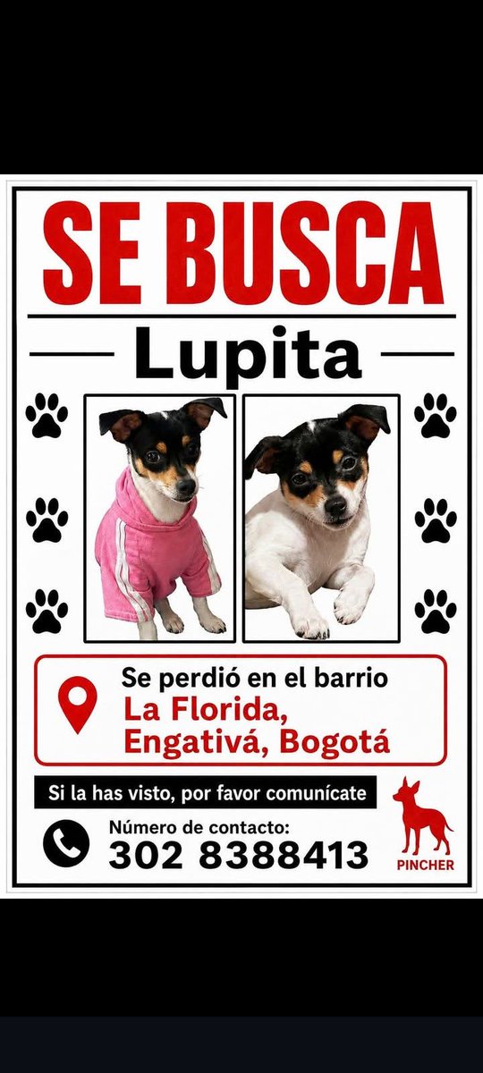 brenner21's tweet photo. Perrita extraviada en el barrio la Florida en la localidad de Engativa, responde al nombre de Lupita. https://t.co/wdmVqnC1X5