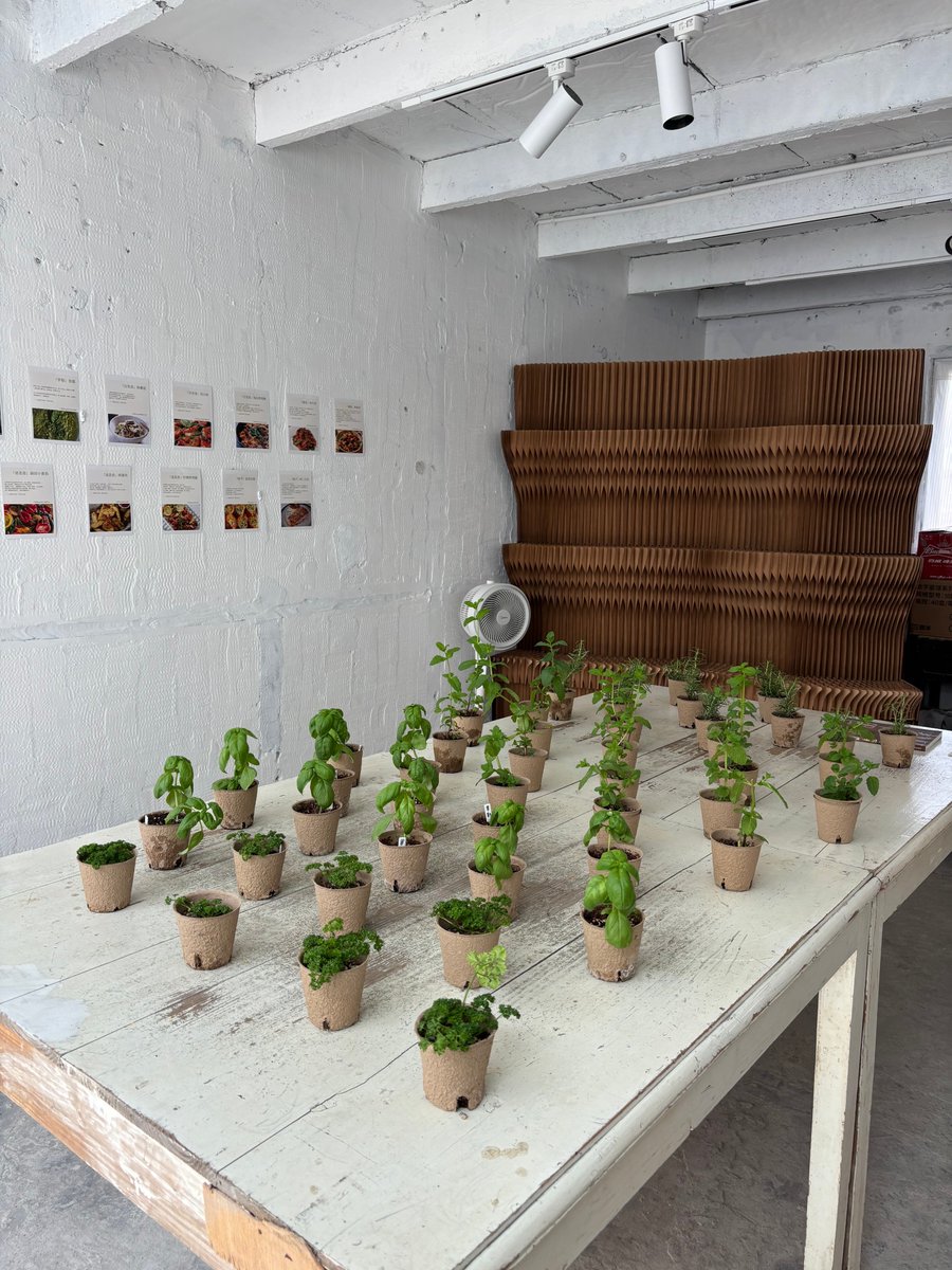 Triizno_O's tweet photo. Got old glass jars Transform them into cute mini herb planters with just 2 steps! Perfect for window sills u0026 fresh cooking herbs. https://t.co/r9SAWHGm37