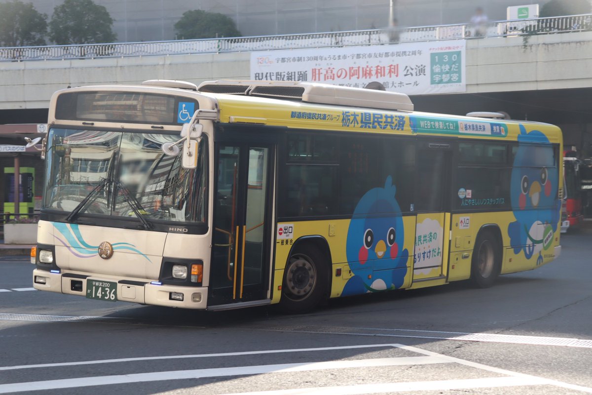 LemonMilk_bus's tweet photo. 宇都宮200か1436　細谷
QPG-KV234N3
駒生営業所細谷車庫に所属するブルーリボンⅡです。2018年より県民共済のフルラッピングになっていますが、2024年8月末よりラッピングデザインが一新されています。
撮影日:2026.8.10 https://t.co/2ySHVHWyDR