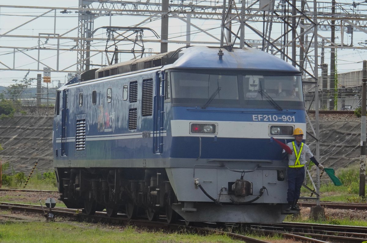 konndezi1130's tweet photo. 8/9 2077レ牽引機岡山機関区内入れ替え   
岡山機関区でEF210 901と EF210 1が並びました！ 試作車とトプナンの並びは初めて見ました！ https://t.co/CgEHR1atBU