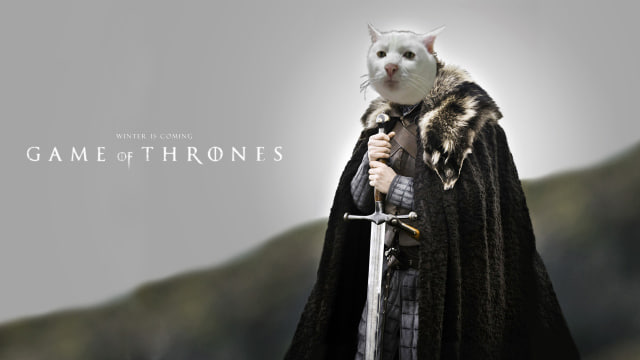 oginthetrenches's tweet photo. @CryptoKaleo its time to get serious

https://t.co/88bfkK1bzQ https://t.co/NbRLpUgSOM