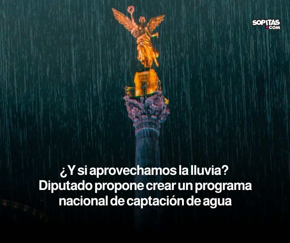 sopitas's tweet photo. La iniciativa busca incentivar a gobiernos y empresas para que instalen sistemas de captación de lluvia y le den una segunda oportunidad a un recurso que, durante la temporada de precipitaciones, literalmente cae del cielo.
https://t.co/Is4aNZK8sC https://t.co/yAARigQYe5