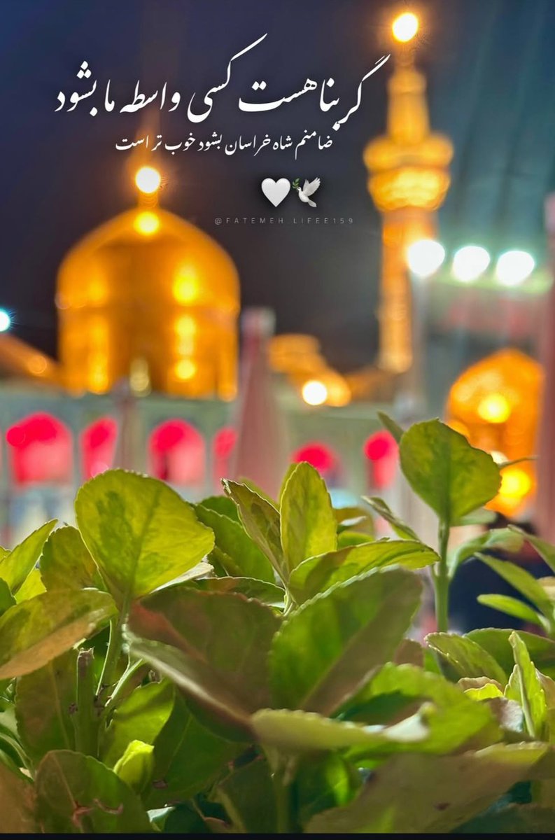 mor76683's tweet photo. گر بنا هست کسی واسطه ما بشود 
ضامنم شاه خراسان بشود خوب تر است..🕊️
#ایران_امام_رضا https://t.co/wk3Rc6oZUd