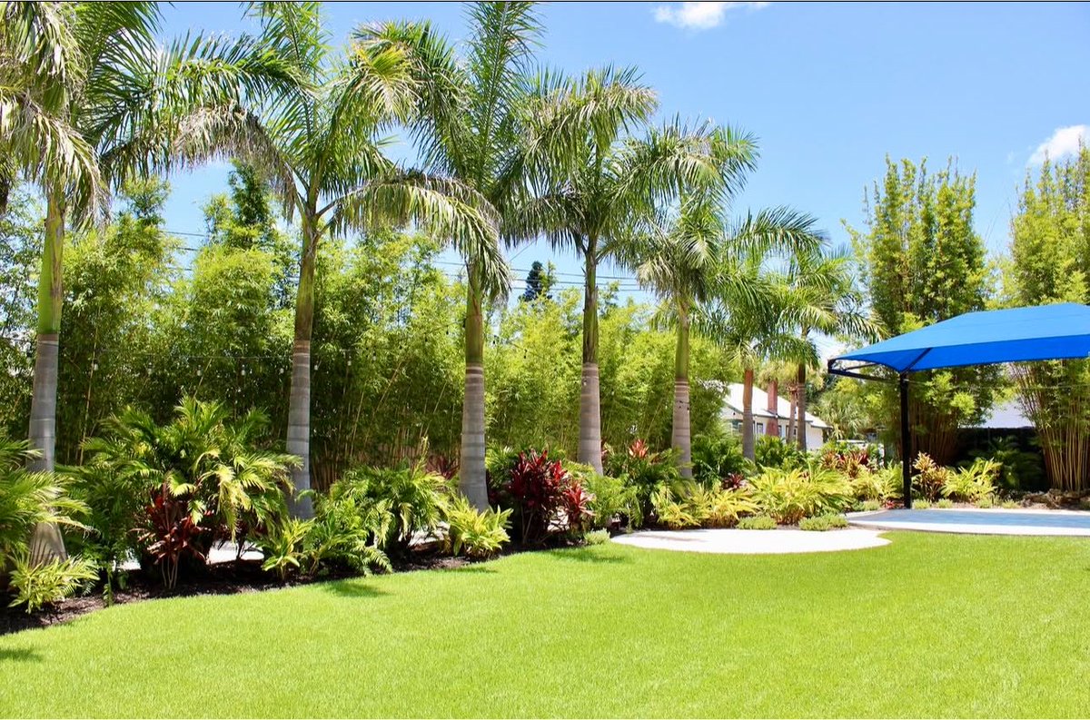BotaniqueDng's tweet photo. A well-designed garden should feel established, not assembled.

From tropical planting to clean lawns and layered garden beds, every element should work as one landscape.

Planning an outdoor space? We’re here for that. https://t.co/I4ad9sfhLE