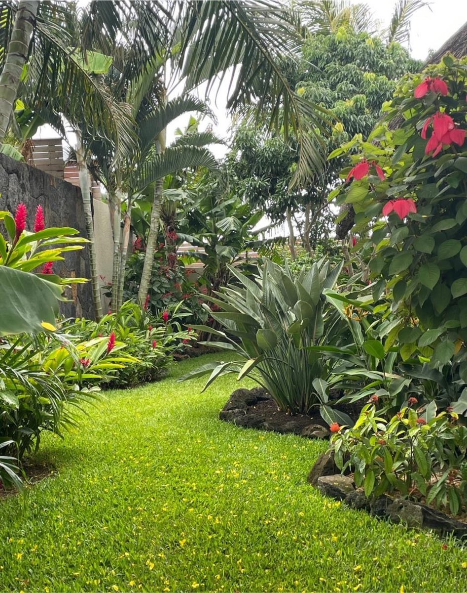 BotaniqueDng's tweet photo. A well-designed garden should feel established, not assembled.

From tropical planting to clean lawns and layered garden beds, every element should work as one landscape.

Planning an outdoor space? We’re here for that. https://t.co/I4ad9sfhLE