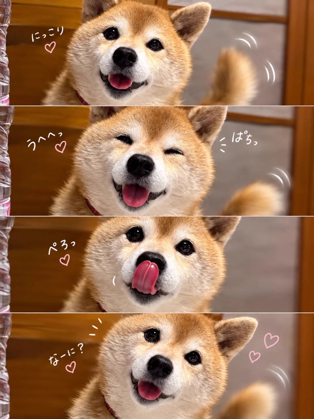 💖柴diary💝 on X: 