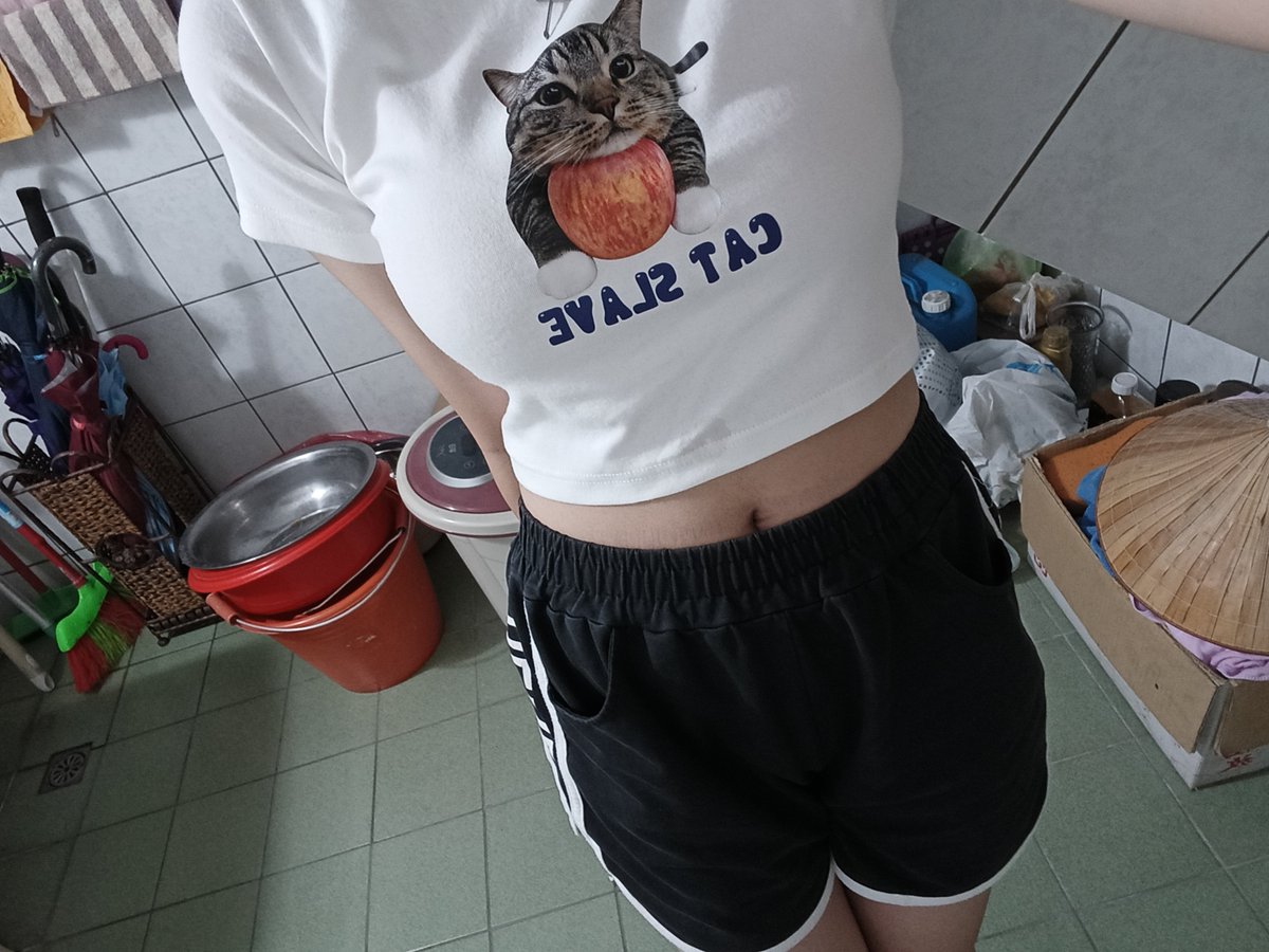 ylau9crar's tweet photo. 不覺得衣服的貓咪很可愛麻~~~
我超愛這隻的😗😗😗❤️ https://t.co/ew7sLMOwMU