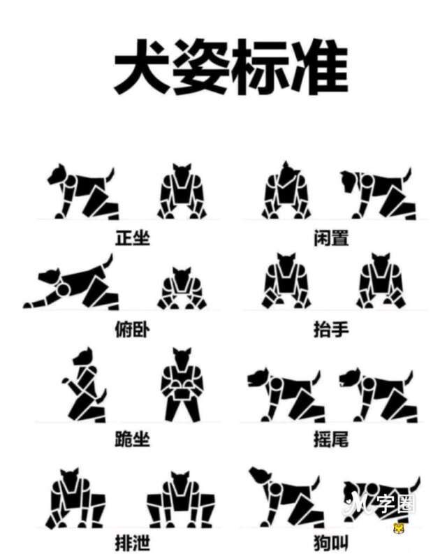 Paracosm1314's tweet photo. 狗m的养成 https://t.co/jXKBxOlSyw