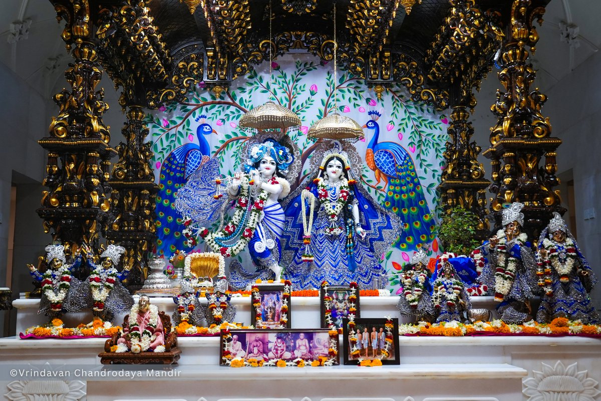 VCMVrindavan's tweet photo. Today's Sringar Darshan of Sri Radha Vrindavanchandra, 10 Aug 2026
सोमवार, श्रावण मास, द्वादशी तिथि, कृष्ण पक्ष, विक्रम संवत् २०८३, गौरबदा 540
    
#vrindavan #vrindavanchandrodayamandir #tallesttemple #Krishna #radha https://t.co/xb2WSHs9Sb
