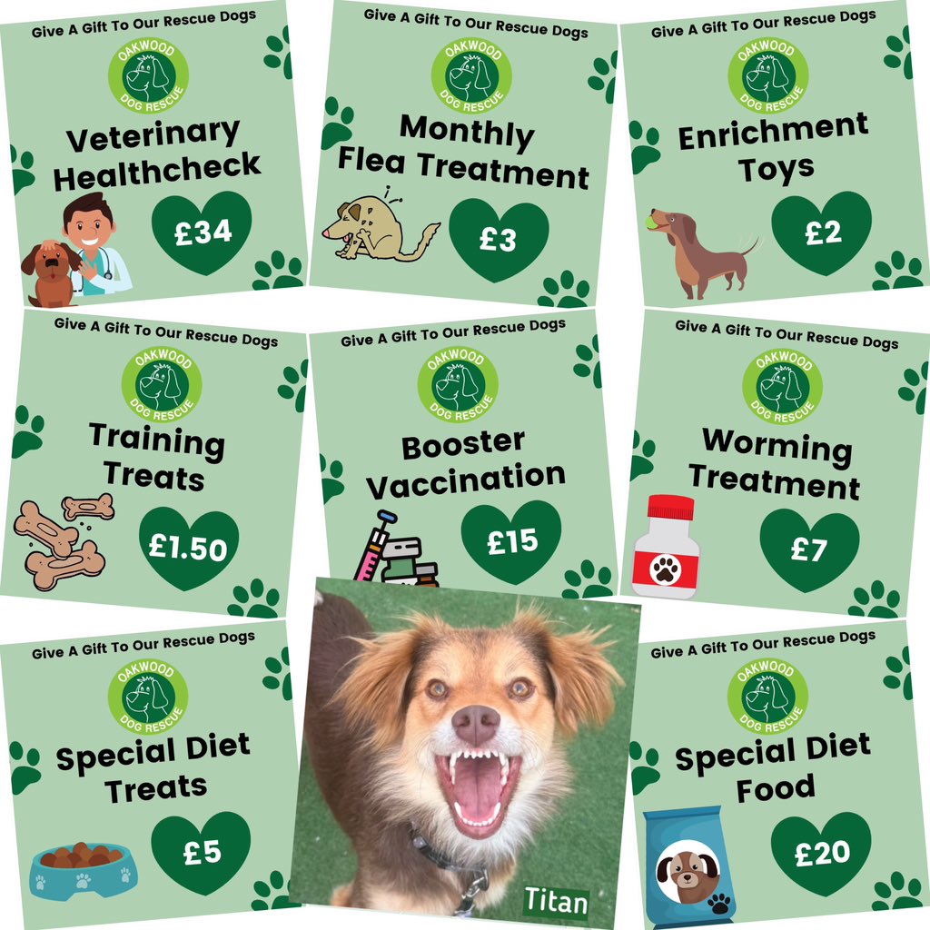 OakwoodRescue's tweet photo. OAKWOOD DOG RESCUE ONLINE SHOP
Did you know we have a donation section?
By Purchasing any items in this category you are directly supporting the dogs in our care.
https://t.co/Ir0D1paSPH
Thank you for your continued support 🙏🏼
#oakwooddogrescue #rescuedogs https://t.co/Iwmi1IcuBR