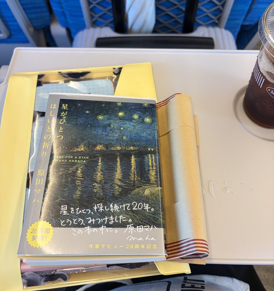 chi_kthky's tweet photo. 大千穐楽から一夜明けてもまだまだジョセフの余韻でいっぱいな中ですが酷暑の地元へ帰省です🫠今回のお供は昨日は昨日大楽前に三省堂で出会った原田マハさんのこちらを https://t.co/RbDmonM01Q