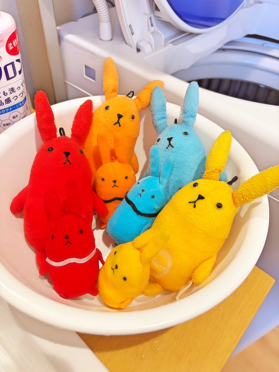 78pikapri's tweet photo. ウサたちをお風呂(温水プール)に入れました♨️ https://t.co/Hv37k4mKUr