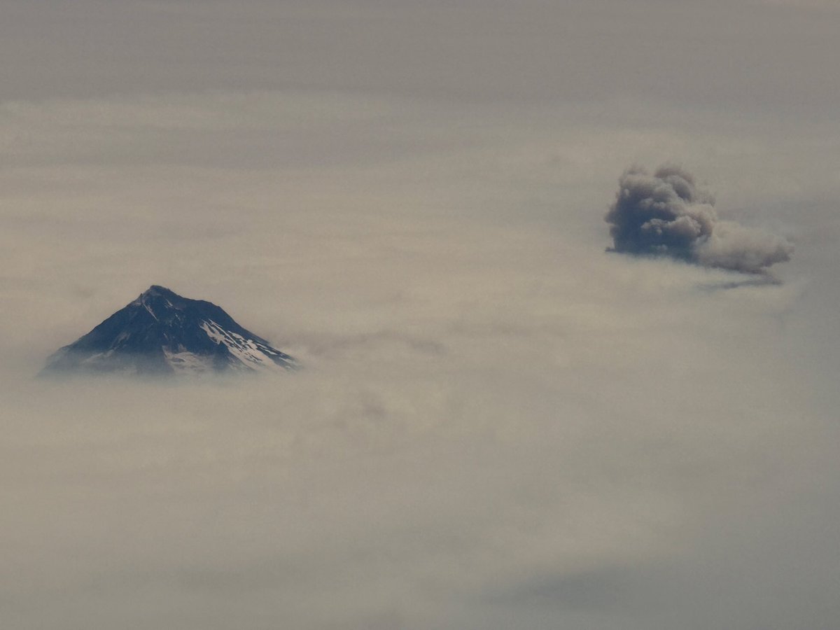 guthrienutter's tweet photo. Flying from MFR > SEA revealed a fascinating / haunting view of the Cascade Range amid the smoke. Image 1: Tahoma; Image 2: Loowit and Pahto vertically oriented, making a 2-D effect; Image 3; Wy’East and the #grasshopperfire plume; Image 4: Mt McGloughlin https://t.co/L7g3o2zLuE