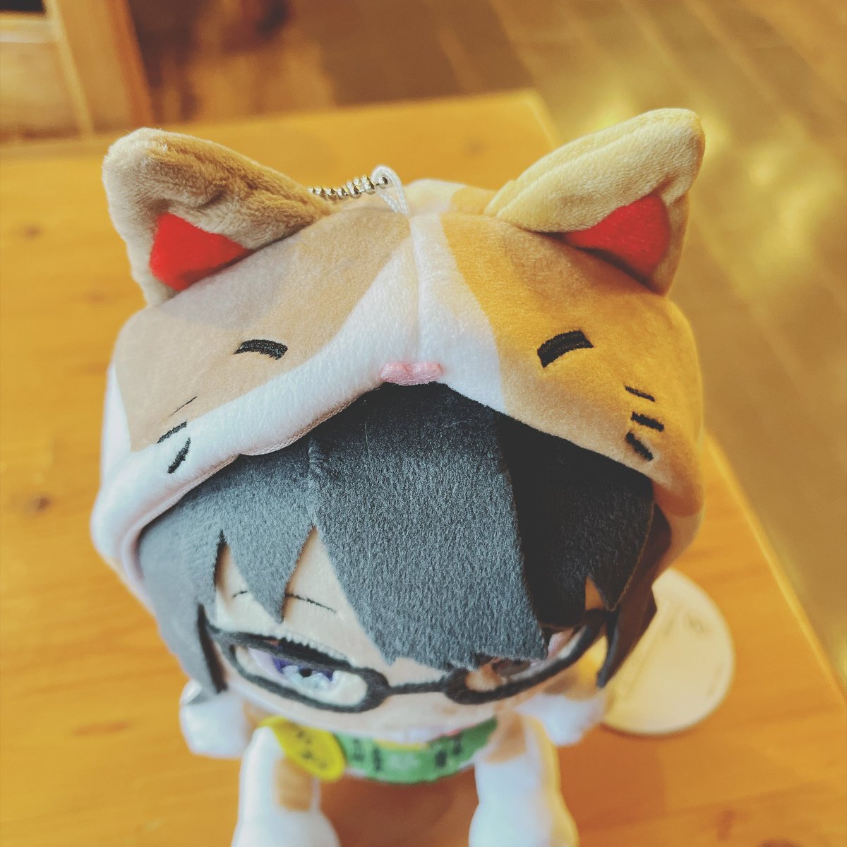 にゃんと！！！！ฅ^•ω•^ฅ 招き猫美月ちゃんぬい奉納いただきました