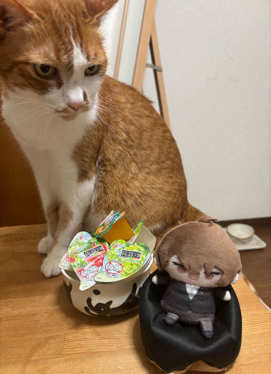 145hiyoco's tweet photo. 今日のおやつ。蒟蒻畑 https://t.co/1XRL5iMeJl