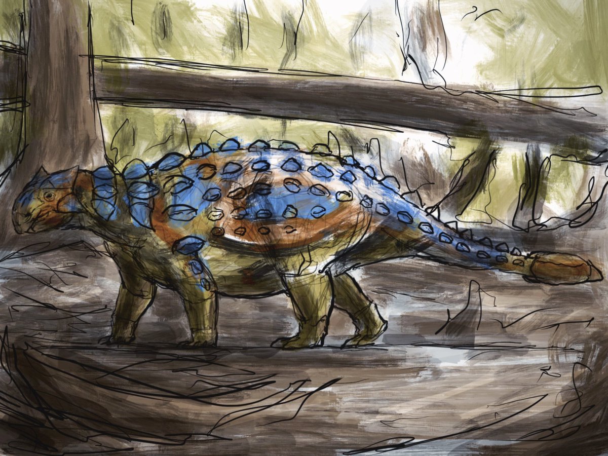 rlatkdwls's tweet photo. Ankylosaurus. Based on Scott Hartman’s skeleton https://t.co/bLGXthWZsI