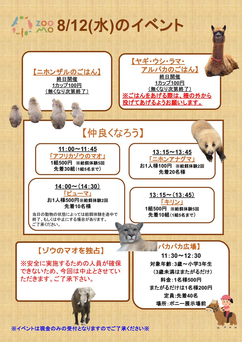 moriokazoo's tweet photo. 8月12日（水）のイベントはこちらです。
動物の都合により変更になる場合もあるのでご了承ください。
詳しくは当日に園内にてご確認ください。
皆様のご来園をお待ちしております。
イベントのチケット購入は下記をクリック
https://t.co/HFEL6WTTbE https://t.co/y2BhYGBT6P