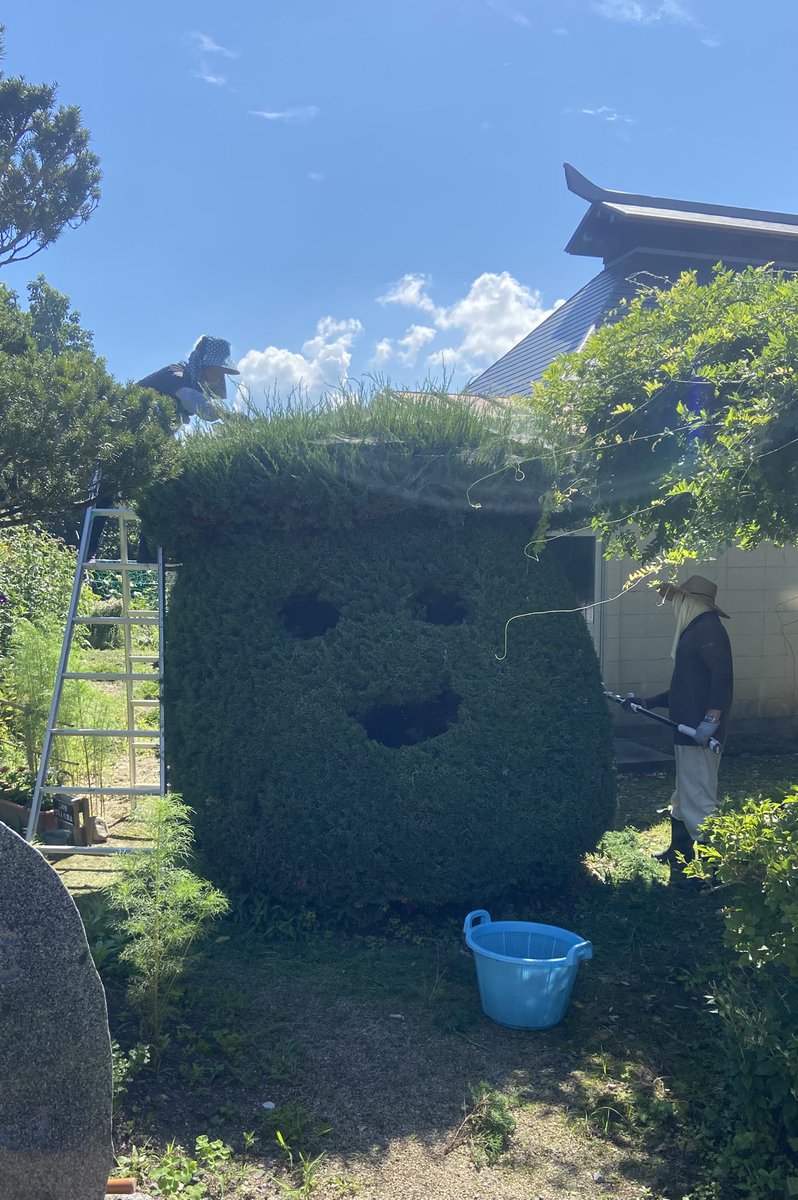 tono_densyoen's tweet photo. 植木河童「散髪してもらってスッキリ‼️」 https://t.co/ltkRfXVK2R