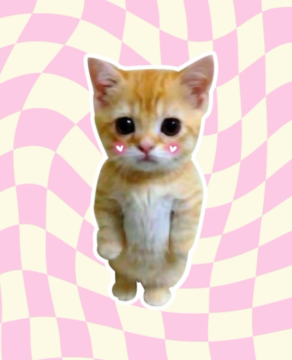 itakeprofit2x's tweet photo. @blknoiz06 Can I interest you in a cute cat who also is a charitable token? 
$SADCAT 
FKHcRDRaT7YXi25vAL6nqSug3frkN9fbm5K15PVdpump https://t.co/WO0QzuQfk0