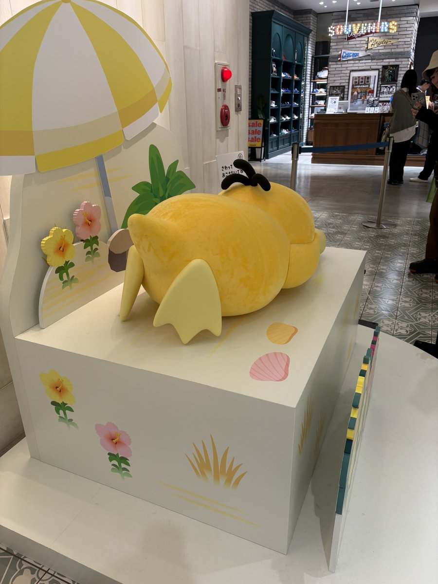 bell_C346's tweet photo. 昨日行ってきたあああ！コダックの！ために！！！
かわいい♡♡♡ https://t.co/lZI7JdFK25