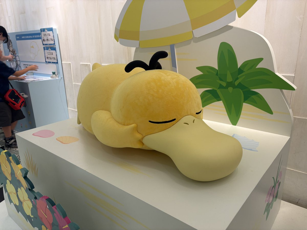 bell_C346's tweet photo. 昨日行ってきたあああ！コダックの！ために！！！
かわいい♡♡♡ https://t.co/lZI7JdFK25