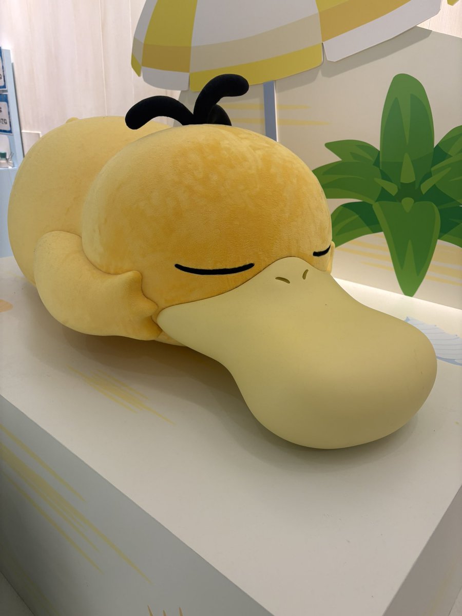 bell_C346's tweet photo. 昨日行ってきたあああ！コダックの！ために！！！
かわいい♡♡♡ https://t.co/lZI7JdFK25