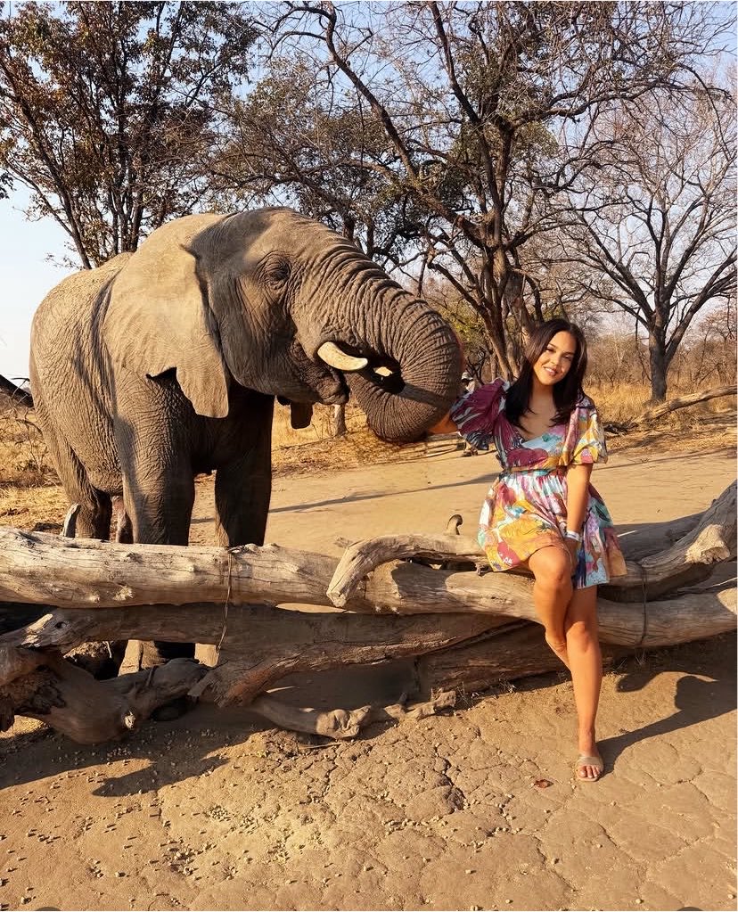 Gary161718's tweet photo. Good morning have a beautiful Monday from Zimbabwe. https://t.co/rXdmuQVig9