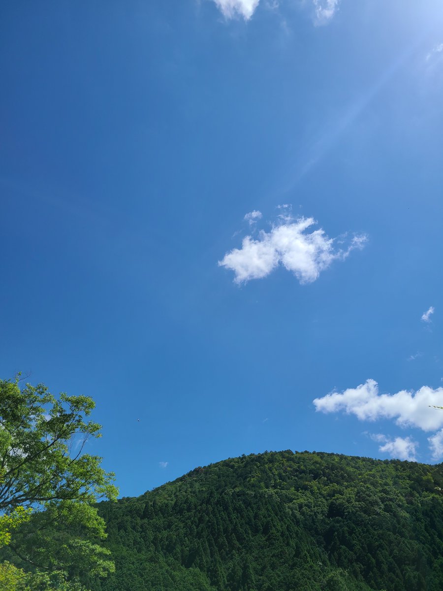aojilltan's tweet photo. 夏休みなんです

もんもんもこもこの 夏なんです https://t.co/ZGenL33eA5