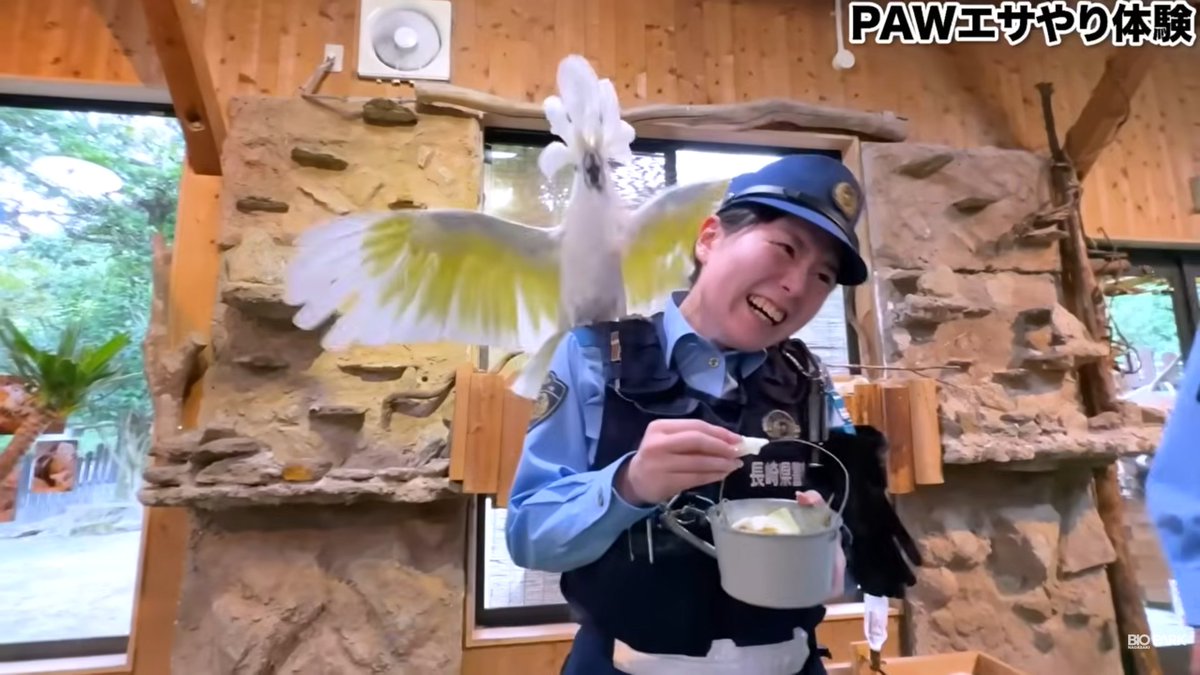 NPP_kikaku's tweet photo. 【長崎県警察×長崎バイオパーク】
長崎バイオパークのYouTubeチャンネルでコラボ動画を配信しています！
警察官とカワイイ動物たちのコラボをご覧ください！
動画はコチラから→https://t.co/FuB7mVLalw
#長崎バイオパーク #コラボ #警察 #カワイイ https://t.co/74kLhJrjA7