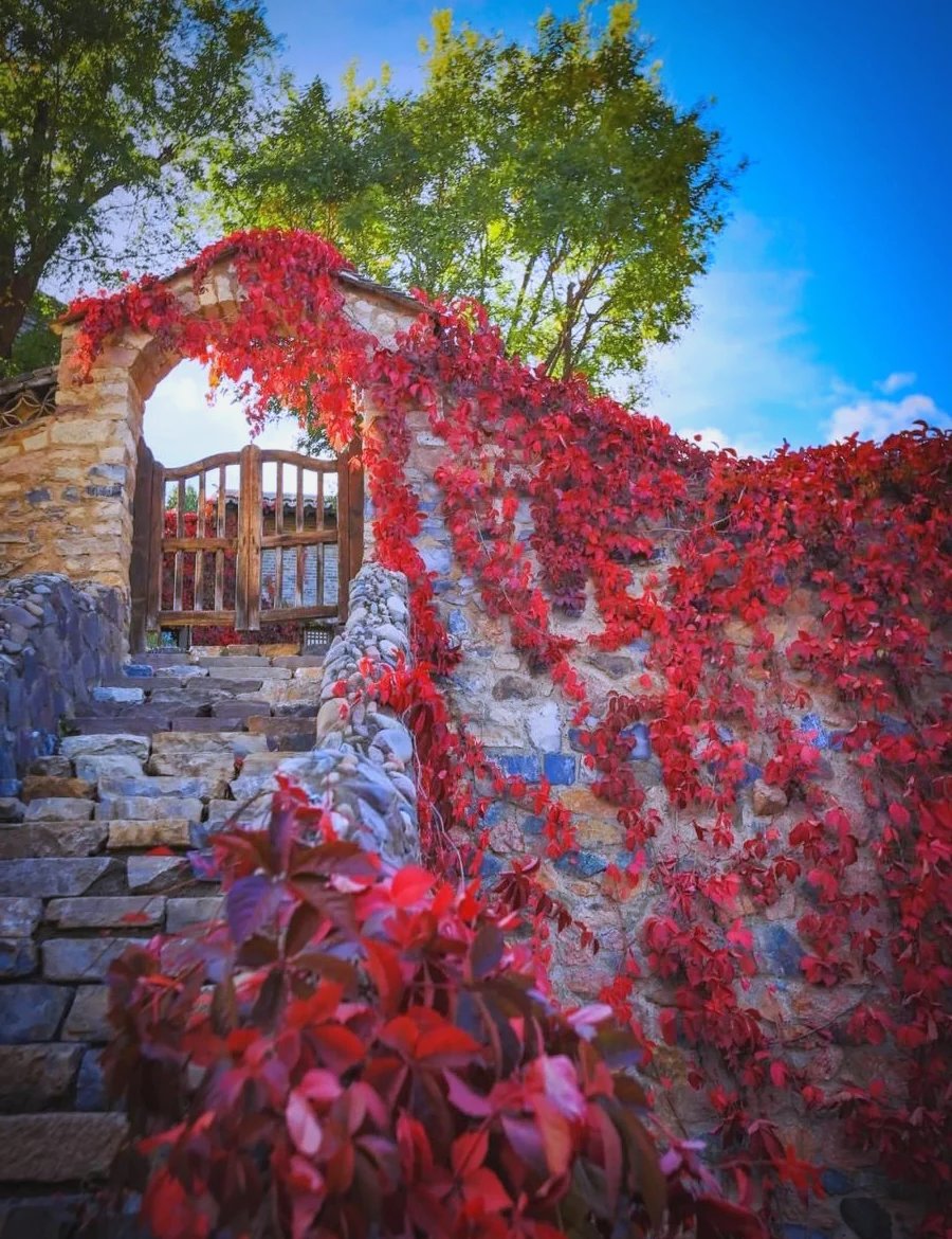 theaviatorguy's tweet photo. [Played "I Spy" with my 5-year-old today—we found 3 red things on our walk u0026 laughed till our sides hurt. Small moments = big love!  #FamilyFun #ParentingWin]， https://t.co/fkSGerPiLj