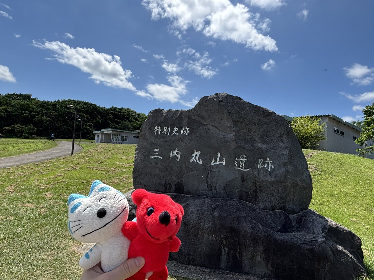 suu_qi's tweet photo. チーバくんに青森を案内するとらねこ大将 https://t.co/hnEQrydL9c