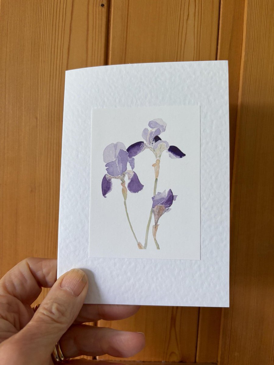 MormorJan's tweet photo. Popping out to post one of these later today #earlybiz love an Iris although hopeless at growing them! 
 https://t.co/sEpa5Hcy52
#MHHSBD #SMILEtt23 #UKMakers https://t.co/ZqvBPqDfu0