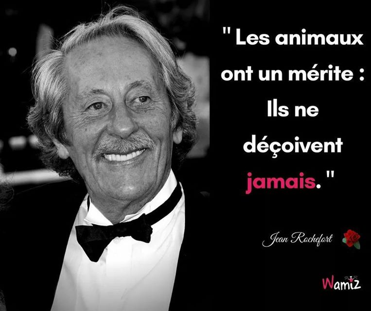 KristelBERINGER's tweet photo. A LIRE !!
#Animaux https://t.co/kcAzGMUrwJ