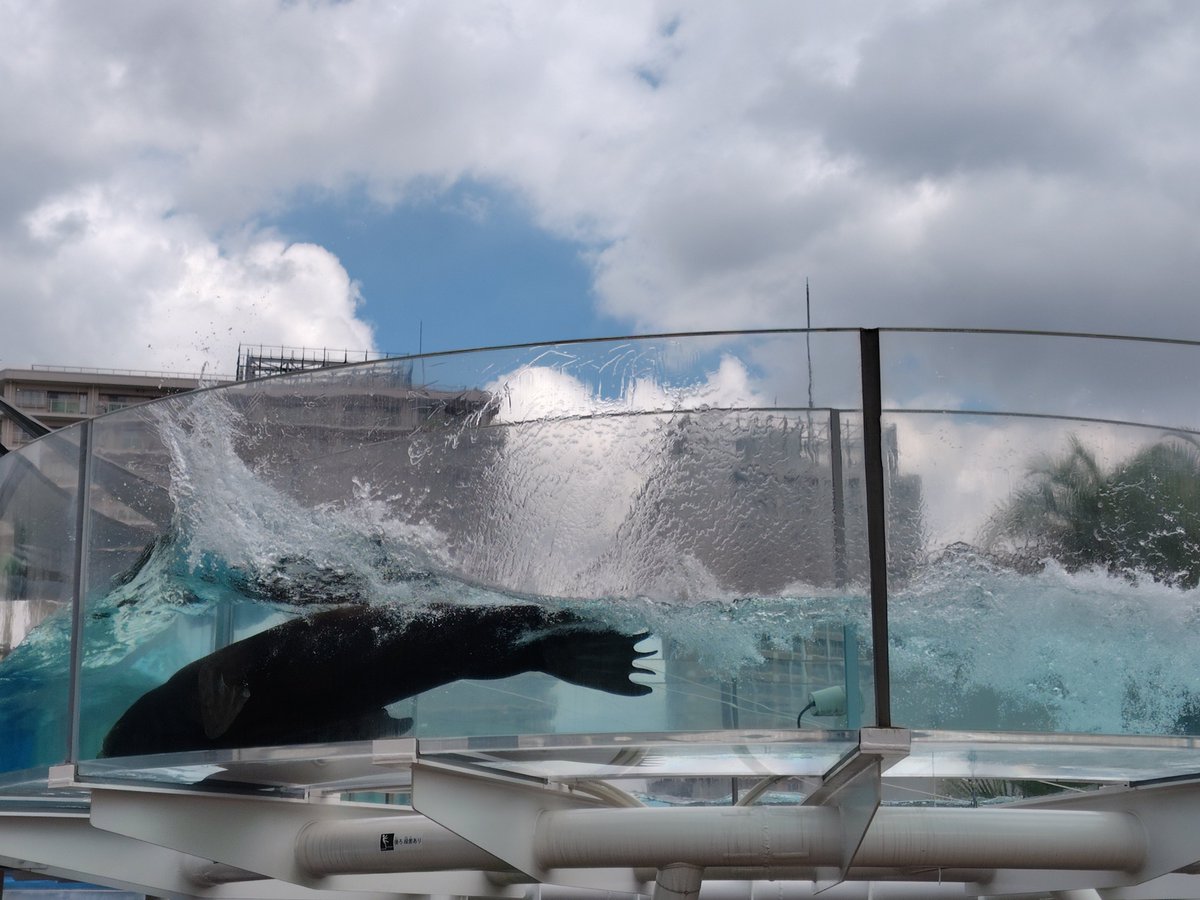 tm88395's tweet photo. 久々のサンシャイン水族館 https://t.co/DV7RNMIAAz