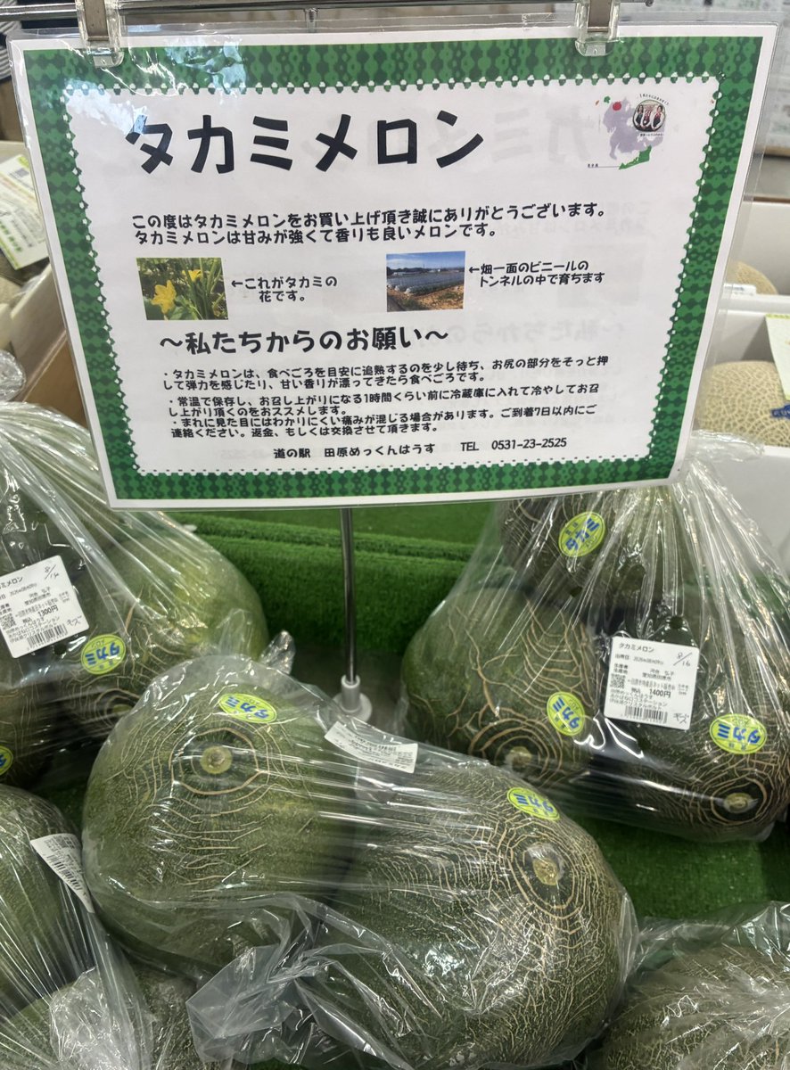 Jun231795170's tweet photo. これは昨日見かけた
たかみーメロン！(ちがいます) https://t.co/vJSzE3sAKu