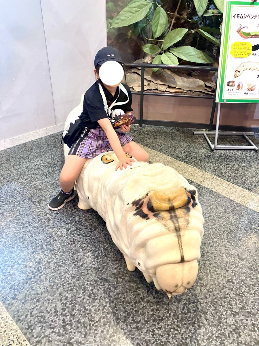 aika0416's tweet photo. 昆虫館オマケの写真。
逆光すぎて加工要らずのショットわろたw

最後はなかなか力作のぬりえ。
ちびっ子達に混ざって真剣に塗ってたわ✏️

ガチャで引いたモルフォ蝶のマグネットは中身紙やけどキラキラして綺麗🦋 https://t.co/udeRijvbKD