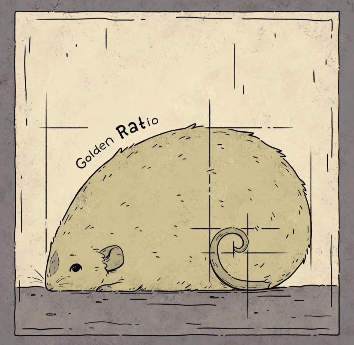 ichewthings's tweet photo. golden RATio https://t.co/79bAotpKfy