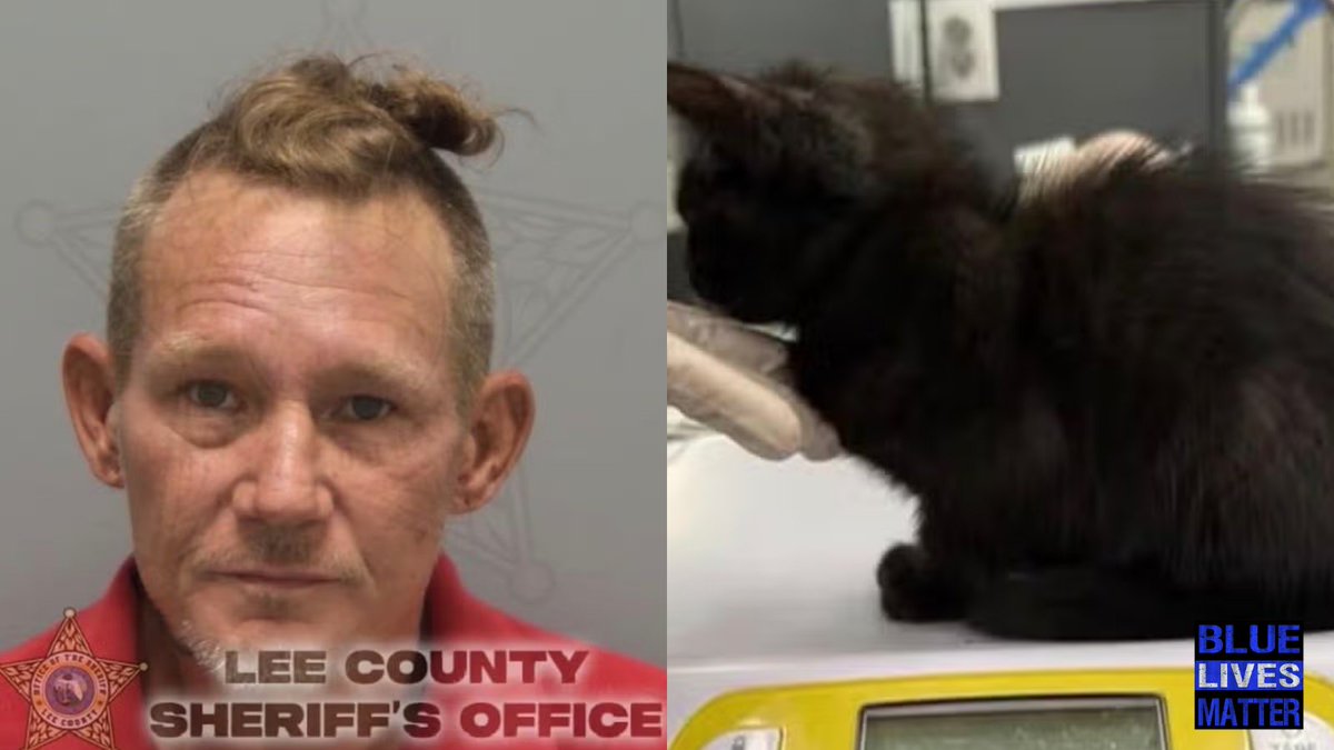 bluelivesmtr's tweet photo. Dad thrown in jail after 'torching kittens with a blow dryer' and 't*rturing them' to punish teen daughter.

David Charette Jr., 48, of Pine Manor, Florida was arrested after his 14-year-old daughter called 911.

She told deputies she watched him hold a 2-month-old kitten named Luna under running water, strike her with a nail polish bottle, and force her into a clothes dryer.

Luna survived and is recovering at an animal hospital.

Sheriff Carmine Marceno said: “The daughter says that when she acts up or when she’s in trouble, her father k*lls her kittens. This is sickening to me.”

Investigators determined Charette had executed two other kittens over the past year.

One, a 1-month-old, was smothered with a bleach-soaked rag in June. Another, a 3-month-old, was burned with a blow dryer. Both were buried in the backyard. Only one set of remains was recovered.

Family members said they never reported the abuse earlier because they feared what he would do to them. Charette faces a felony charge of aggravated animal cruelty and is being held on $100,000 bond.

A father who turns helpless kittens into weapons against his own child belongs behind bars.  Let's make sure his face is seen far and wide.  This dude is a special kind of evil.

#AnimalCruelty #Florida