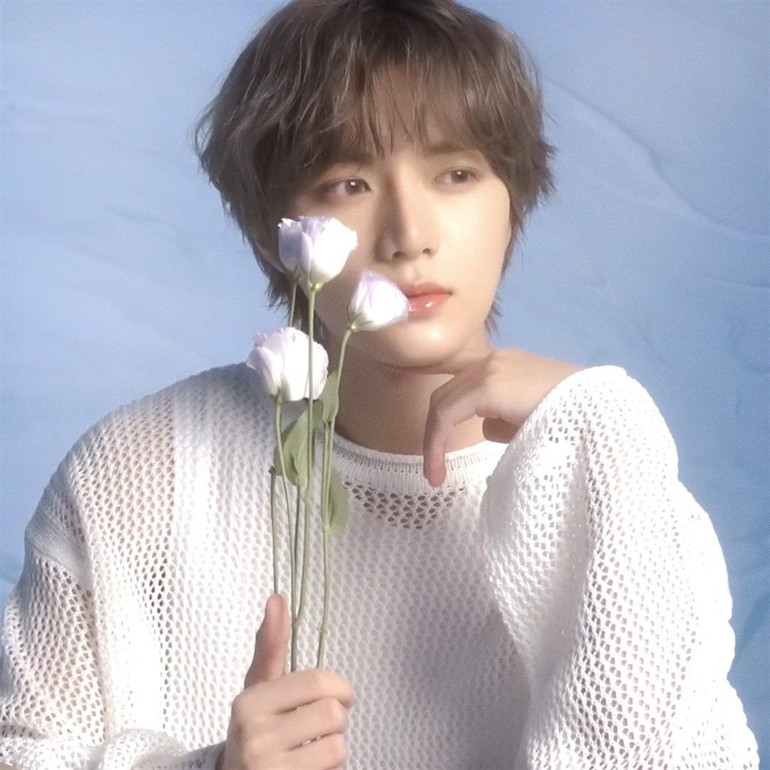 beomelina's tweet photo. oh this pretty pretty pretty fairy https://t.co/ClGce0KydU