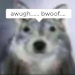 Veeva_009's tweet photo. awugh... bwoof... https://t.co/NqoMF3nEQO