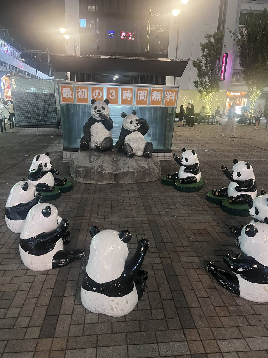 会議中のパンダ様 Zero Crisis: Are the Pandas a
