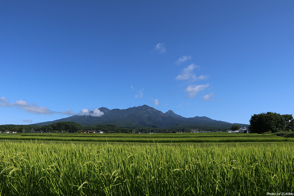 ZUKI_Mo's tweet photo. 嵐が来る前の夏晴れの朝
THE 夏の八ヶ岳南麓✨

#八ヶ岳南麓 https://t.co/IBMqOVhLs8