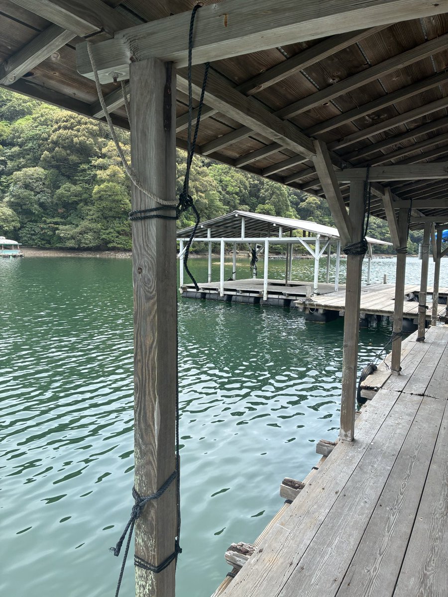 yanboo2011's tweet photo. アカメは甘くなかった
というよりダンゴ釣り初めてなので
エサのチヌボラを釣るのに四苦八苦
チヌもバラシて楽しかった https://t.co/UBBXQJZsc3
