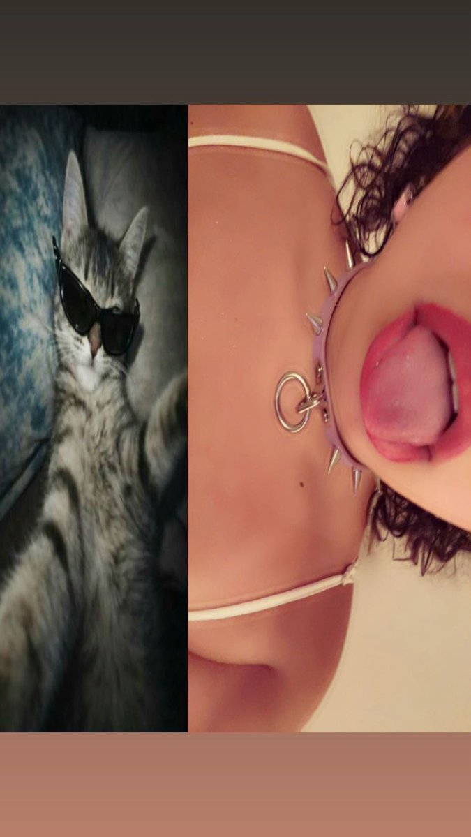 pervvyluv's tweet photo. $45 collar was worth it tbh
#horny #pullmycollar #slut https://t.co/P37pqruRRC