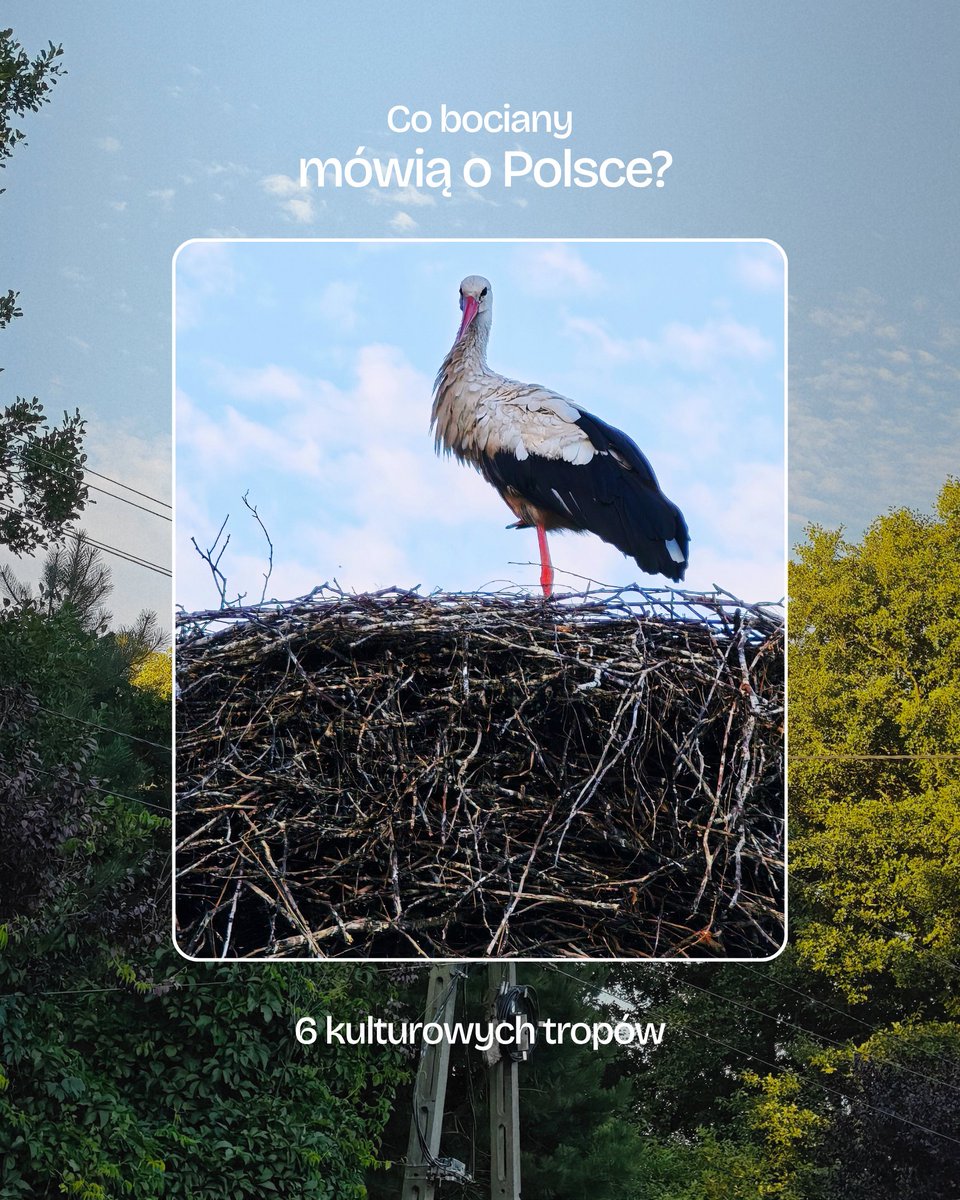 Polska's tweet photo. 🧵 Dlaczego wystarczy zobaczyć bociana, żeby pomyśleć o Polsce? 🇵🇱🌾Od blisko dwóch stuleci bociany przelatują nie tylko nad polskimi łąkami, ale też przez nasze malarstwo, literaturę i pamięć.
Chełmoński, Słowacki, Norwid, Mickiewicz… Zaczynamy. 👇 https://t.co/OoIOeAOQEw