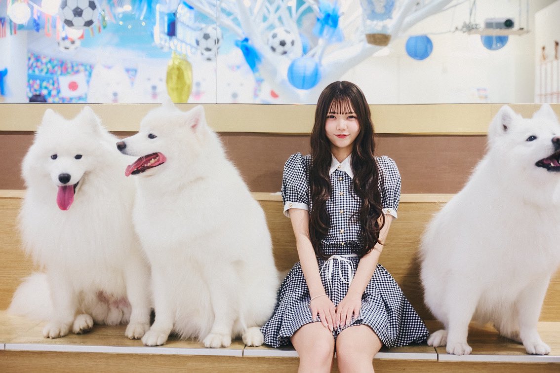JamsCollection's tweet photo. 【メディア情報】

8月25日(火)発売

雑誌『MARQUEE Vol.163』

JamsCollection・津代美月の連載が掲載されています🦋.*˚

今回は「津代美月の犬のいる生活」🐶♡
愛犬の犬柄や好きな食べ物、好きな山手線の駅など、津代美月の“わんダーストーリー”をお届け🐾.*･ﾟ

ぜひチェックしてください✔
#ジャムズ