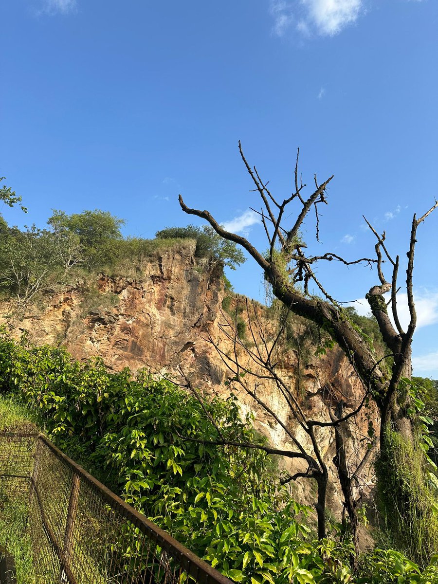 bespokesafarisu's tweet photo. This could be your chance to explore Uganda’s largest conservation area #Murchisonfallsnp Free entrance to the park for EAC &amp; FR category from 25th to 27th September 2026, book a customized safari with us and collect memories! #bespokesafaris #adventure #travel https://t.co/j6MCofAoiz